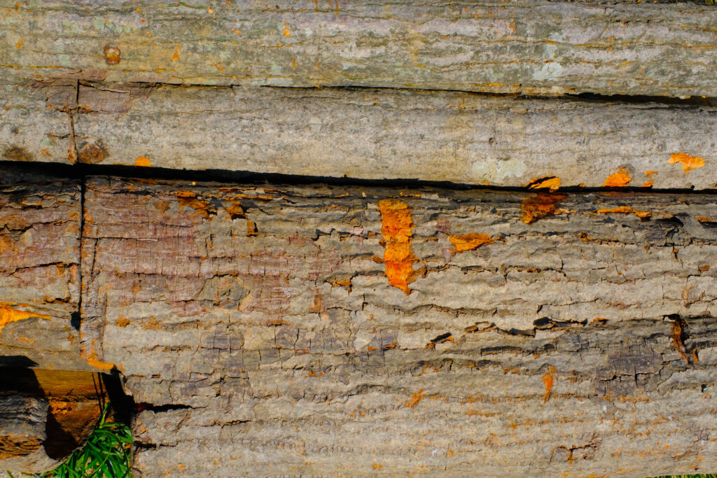 How To Treat Rotten Wood