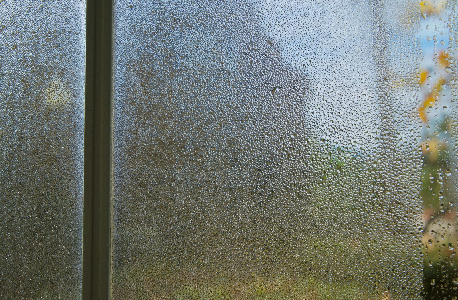 Condensation Problem How To Get Rid Of Condensation - Refresh PSC