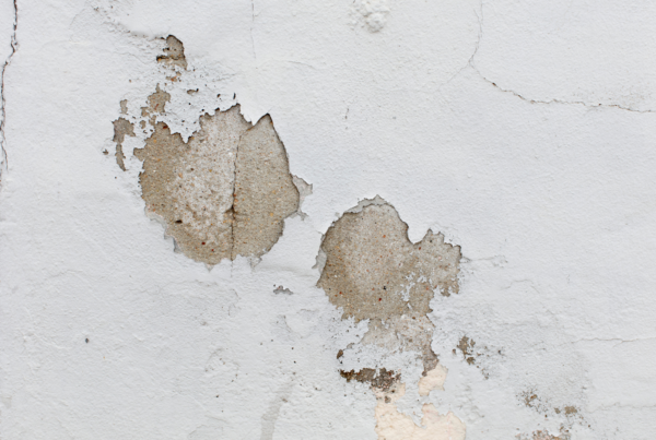 Seasonal Damp_ Why Problems Worsen in Winter and How to Prepare