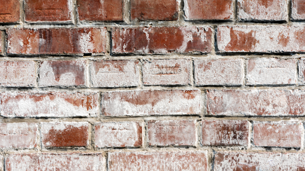 What Is Efflorescence and What Does It Mean for Your Walls