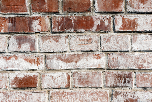 What Is Efflorescence and What Does It Mean for Your Walls